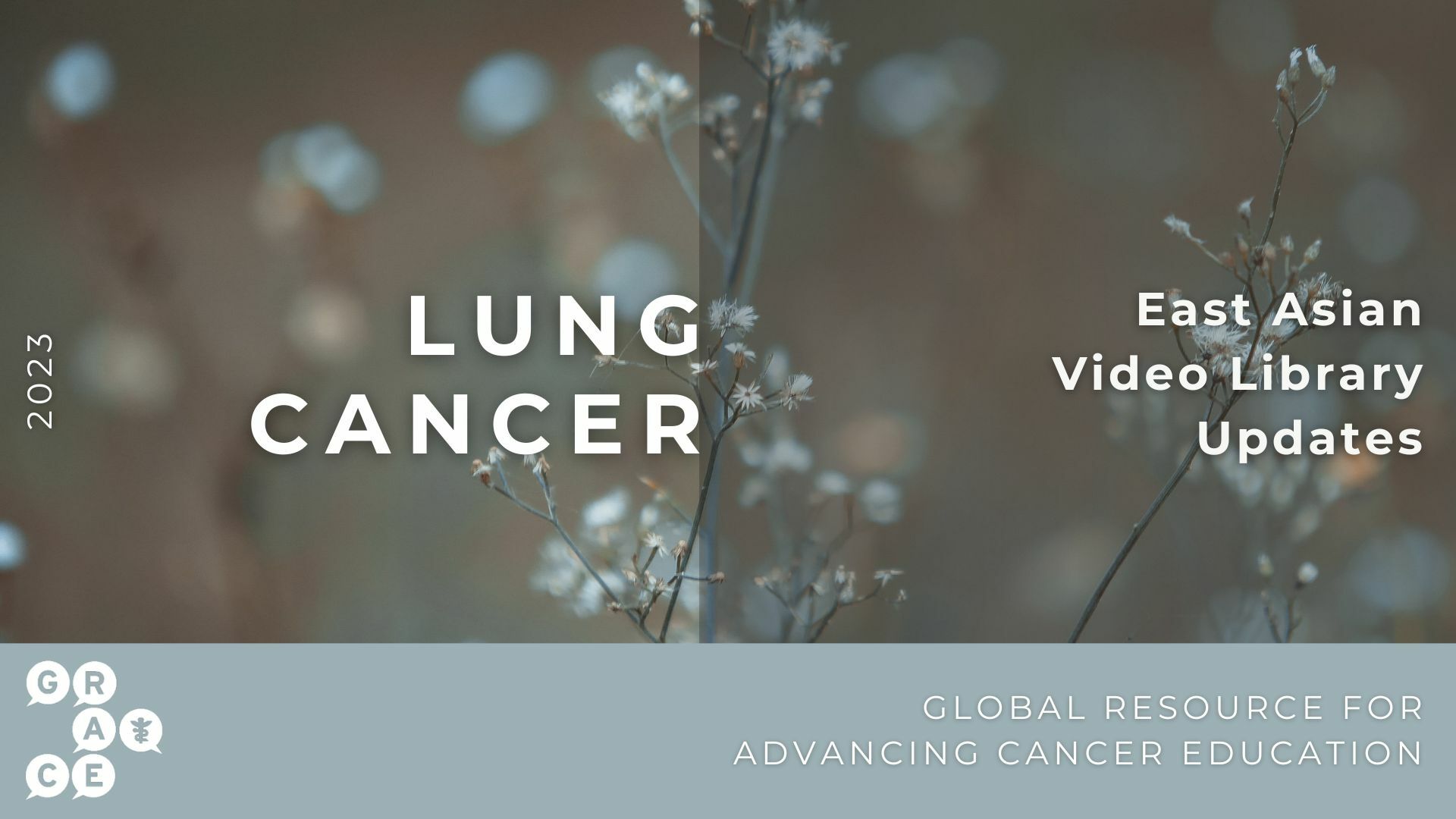 East Asian Lung Cancer 