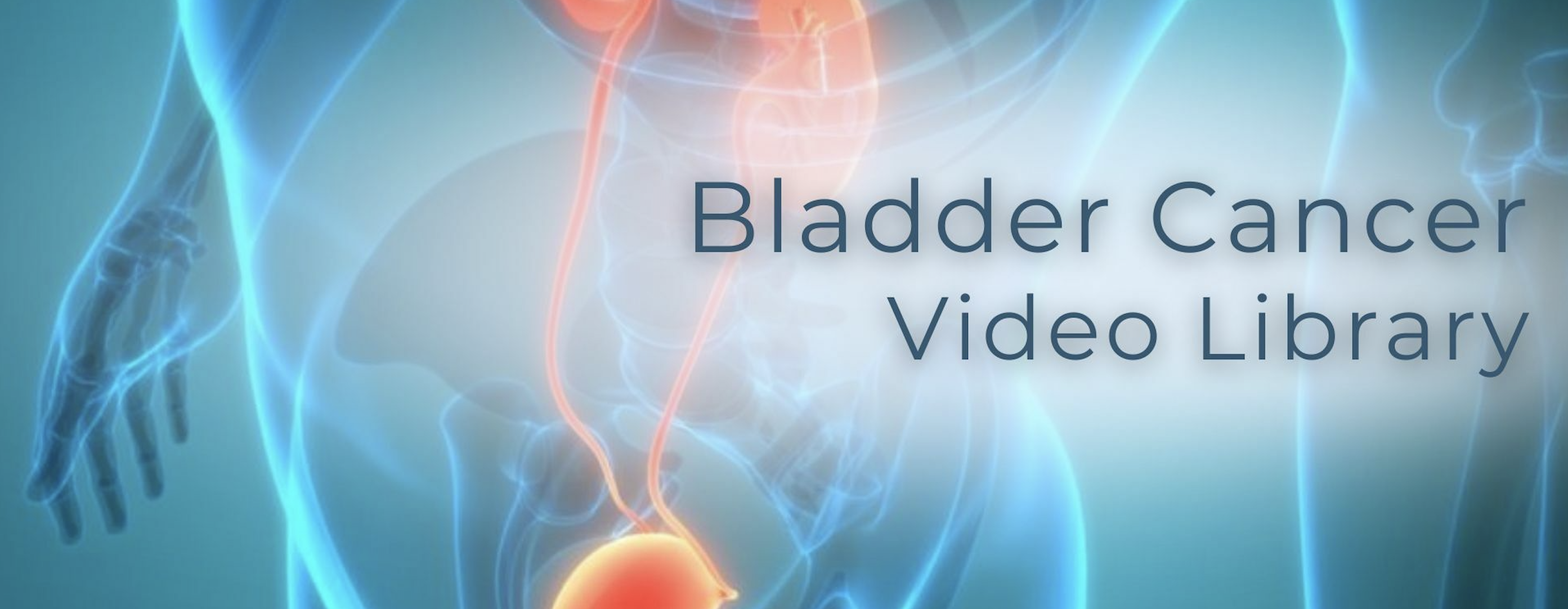 Bladder Cancer Video Library 2024