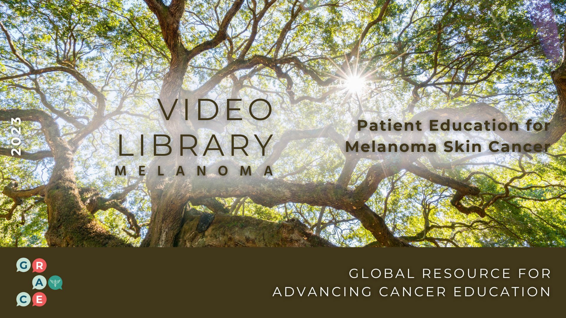 Melanoma Video Library