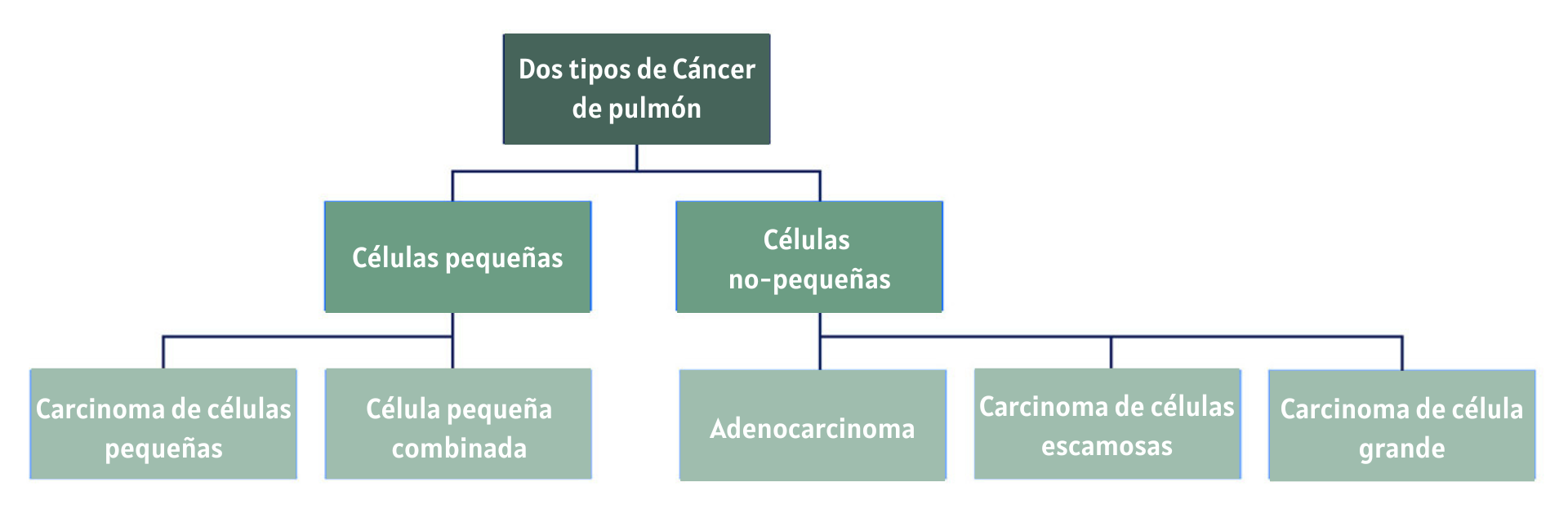 Dos tipos de Cancer de pulmon